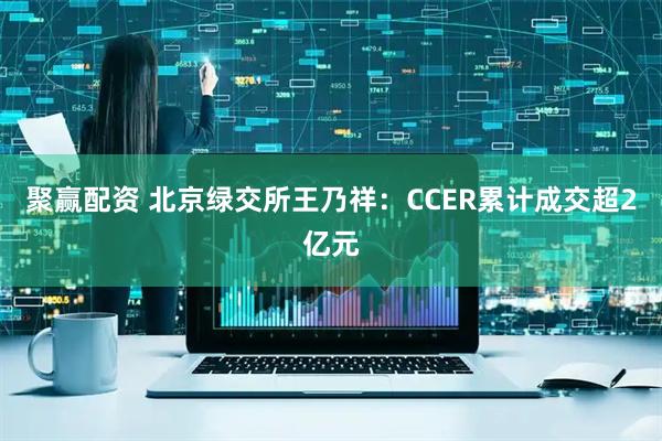 聚赢配资 北京绿交所王乃祥：CCER累计成交超2亿元