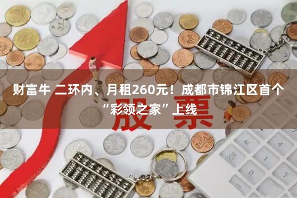 财富牛 二环内、月租260元！成都市锦江区首个“彩领之家”上线